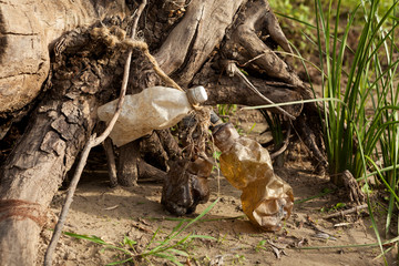 Garbage and wooden driftwood on the river bank. Used plastic bottles thrown by tide or waves on land. Concept - pollution of water bodies with hazardous long-decaying household waste