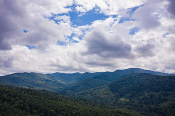 Obraz na płótnie Canvas Skole Beskids National Nature Park. View from drone on forest, mountain