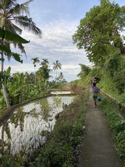 Paysanne sur un chemin de rizière à Lombok, Indonésie