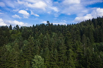 Fototapeta na wymiar Skole Beskids National Nature Park. View from drone on forest, mountain