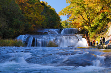 紅葉の木々の間を流れる滑津大滝の豊富な水量