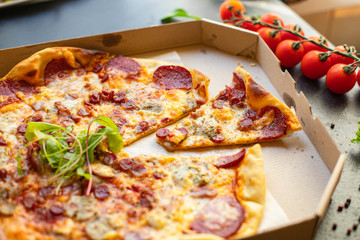 pizza cheese sausage salami assorted meat serving portion size natural top view place copy space for text