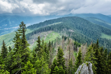 Fototapeta na wymiar Demanovska valley, Low Tatras, Slovakia
