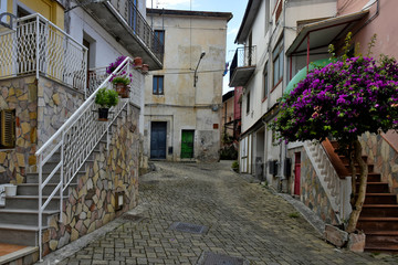 A narrow street among the old houses of Santa Maria del Cedro, a rural village in the Calabria region.