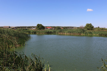 Obraz premium pond