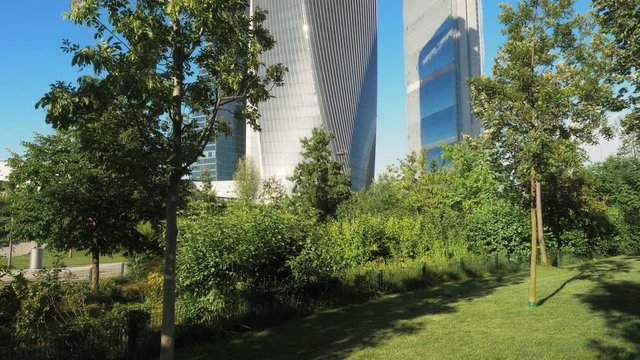 trees, lawn and bushes of the urban park of Citylife district in Milan, in the background, hidden by the vegetation, modern skyscrapers and a blue sky. pan right