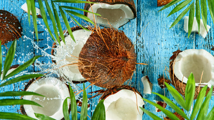 Freeze Motion Top Shot of Water Splashing on Coconut, close-up