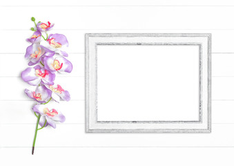 Horizontal white wooden frame and orchid branches