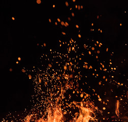fire flames with sparks on a black background, close-up - obrazy, fototapety, plakaty