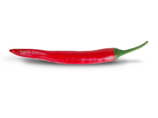 A fresh chilli on the white background