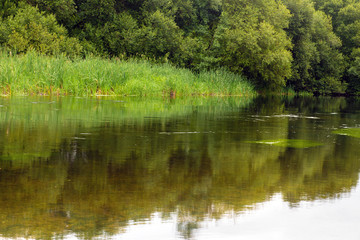 green river bank, beautiful calm natural landscape