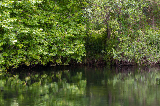 Green River Bank, Beautiful Calm Natural Landscape