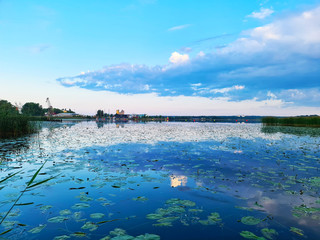 lake in the summer