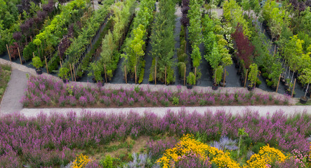 Different ornamental plants on the local farm to grow seedlings of trees and shrubs. A set of beautiful plants, a view from above. Plants from Ukraine