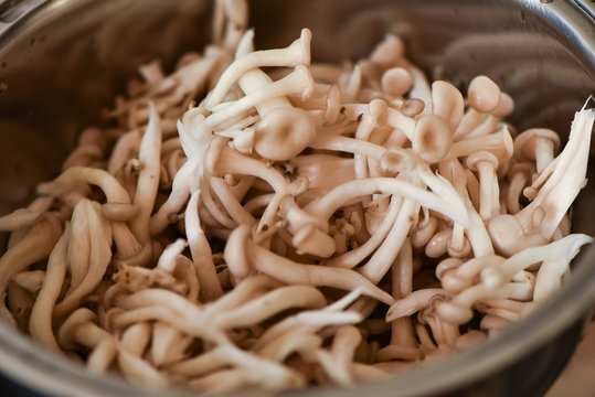Ingrediente receita cogumelos shitake shimeji 
