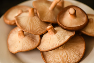 Ingrediente receita cogumelos shitake shimeji 