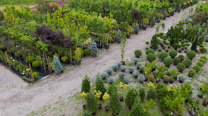 Obraz premium Different ornamental plants on the local farm to grow seedlings of trees and shrubs. A set of beautiful plants, a view from above. Plants from Ukraine