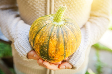 Closeup natural autumn fall view woman hands holding yellow pumpkin Inspirational nature october or...