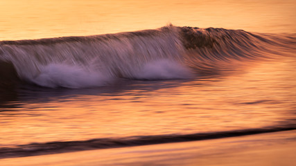 Golden waves lit by the morning sun
