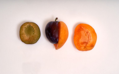 Two different halves of apricot and plum