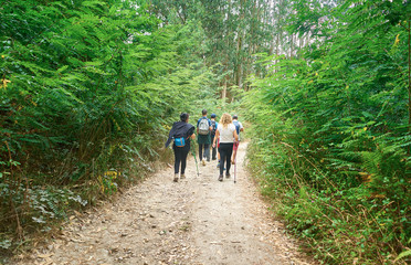Family walking with backpacks and walking sticks along a path in the field full of trees