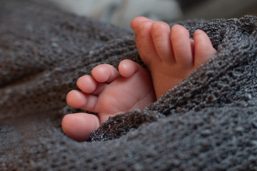 Cute newborn baby feet on a dark grey blanket, closeup.