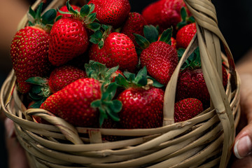 Girl holding basket with strawberries.