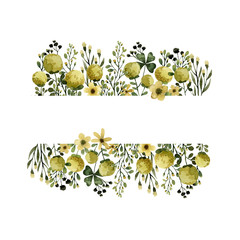 Fototapeta na wymiar yellow flowers and plants watercolor, green herbal organic nature template frame illustration, hand drawing