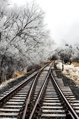 Railway Tracks after a Foggy Winter Night