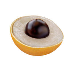 Halved  Longan isolated on white background. Tropical fruit Longan close up.