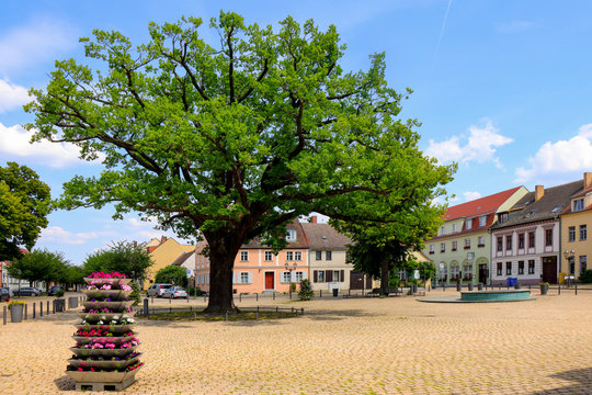 Werder an der Havel, Marktplatz