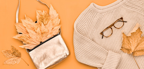 Autumn Arrives. Fashion woman Clothes Set. Trendy Knit Jumper. Fashionable Stylish Handbag Clutch,...