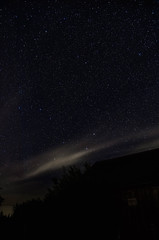 Ursa Major night above young forest