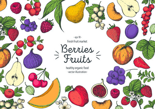 Berries and fruits drawing collection. Hand drawn berry. Colorful vector illustration.