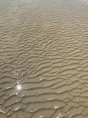 ripples in the sand