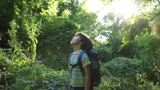 A boy with a backpack walks through the forest, a child explores wildlife, a kid stands alone among the trees, a portrait of a boy.