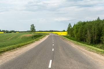 Fototapeta na wymiar asphalt country road passes near a field with yellow rapeseed