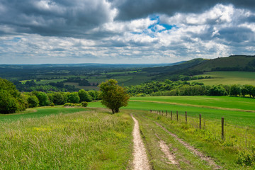 Fototapeta na wymiar The South Downs Way in Sussex looking towards Cocking and Midhurst from Pen Hill. The South Downs Way is 160km long from Winchester in Hampshire to Eastbourne in East Sussex