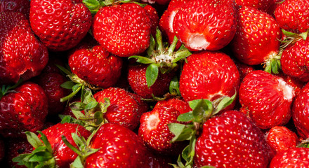 Juicy beautiful red freshly picked strawberries. Healthy and wholesome Food background. Many natural strawberries close-up, top view. Macro shot of strawberry texture in sunny day Banner for web site
