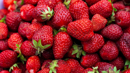 Many Juicy beautiful red freshly picked strawberries. Healthy and wholesome Food background.  Natural strawberries closeup, top view. Macro shot of strawberry texture in sunny day Banner for web site
