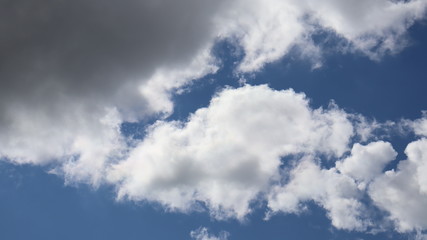 Obraz premium clouds in the sky