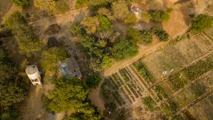 Aerial view of a farmland 