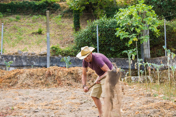 farmer making or harvesting the farm land