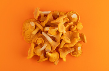 Heap of fresh chanterelle mushrooms on orange background, top view