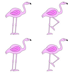 Set of pink flamingos on a white background