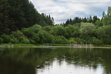 Fototapeta na wymiar Cozy forest pond