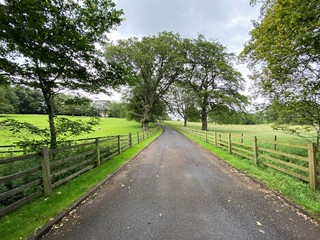 Fototapeta na wymiar Country lane, with wooden fencing, trees and fields in, Eshton, Skipton, UK
