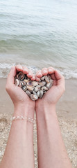 female hands hold seashells on the beach