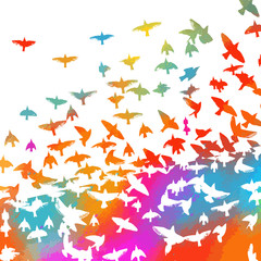 Bird watercolor. A flock of colorful birds. Mixed media. Vector illustration