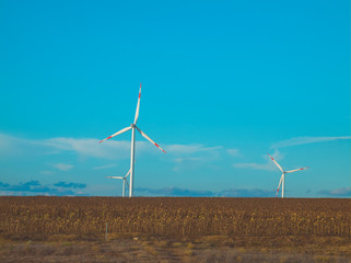 wind turbines farm
